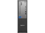 ThinkCentre neo 30s Small Gen 5 13DGS00000